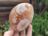 Polished Flower Agate Standing Free Forms x 5 From Antsahalova, Madagascar