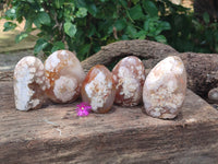 Polished Flower Agate Standing Free Forms x 5 From Antsahalova, Madagascar