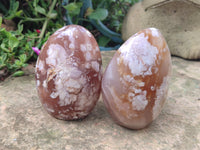 Polished Flower Agate Standing Free Forms x 5 From Antsahalova, Madagascar