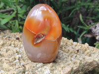 Polished Flower Agate Standing Free Forms x 5 From Antsahalova, Madagascar