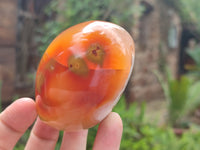 Polished Flower Agate Standing Free Forms x 5 From Antsahalova, Madagascar