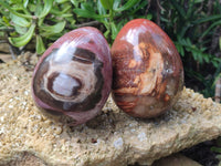 Polished Podocarpus Petrified Wood Eggs x 2 From Mahajanga, Madagascar