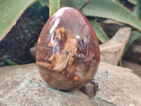 Polished Podocarpus Petrified Wood Eggs x 2 From Mahajanga, Madagascar