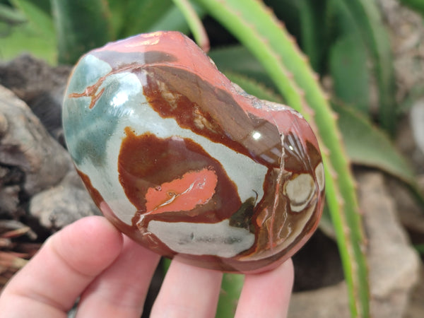 Polished On One Side Polychrome Jasper x 6 From Mahajanga, Madagascar