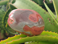 Polished On One Side Polychrome Jasper x 6 From Mahajanga, Madagascar