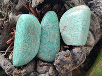 Polished Amazonite Free Forms x 24 From Madagascar