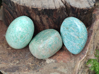 Polished Amazonite Free Forms x 24 From Madagascar