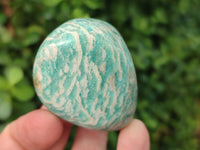 Polished Amazonite Free Forms x 24 From Madagascar