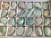 Polished Amazonite Free Forms x 24 From Madagascar