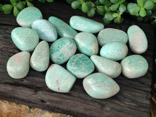 Polished Amazonite Free Forms x 24 From Madagascar