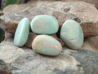 Polished Amazonite Free Forms x 24 From Madagascar