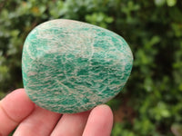 Polished Amazonite Free Forms x 24 From Madagascar