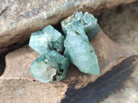 Natural Green Chlorite Quartz Crystals x 1.6 Kg Lot From Zimbabwe