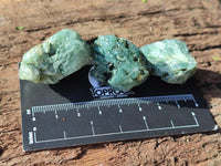 Natural Green Chlorite Quartz Crystals x 1.6 Kg Lot From Zimbabwe