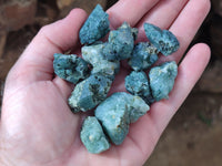 Natural Green Chlorite Quartz Crystals x 1.6 Kg Lot From Zimbabwe