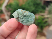 Natural Green Chlorite Quartz Crystals x 1.6 Kg Lot From Zimbabwe