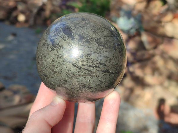 Polished Pharaoh Stone Sphere x 1 From Zimbabwe