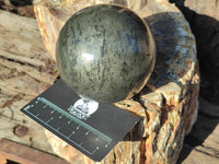 Polished Pharaoh Stone Sphere x 1 From Zimbabwe