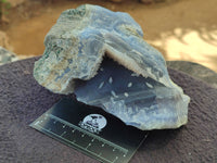 Natural Blue Lace Agate Geode Specimens x 3 From Malawi