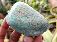 Polished Amazonite Free Forms x 12 From Madagascar