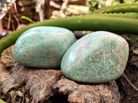 Polished Amazonite Free Forms x 12 From Madagascar