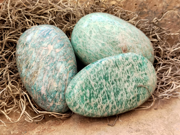 Polished Amazonite Free Forms x 12 From Madagascar