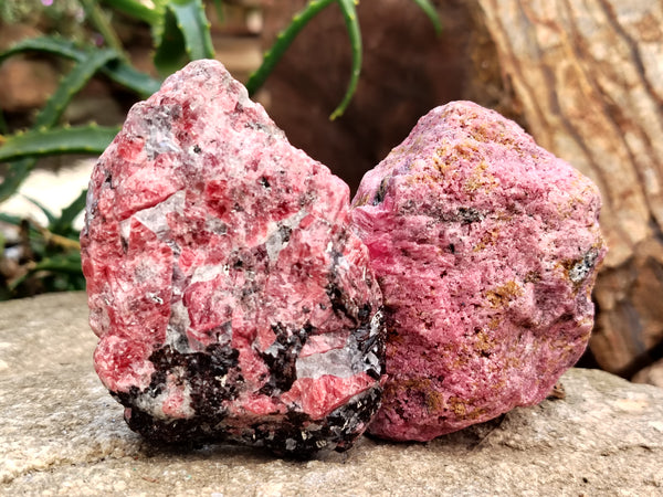 Natural Rhodonite Cobbed Specimens x 6 From Zimbabwe