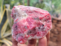 Natural Rhodonite Cobbed Specimens x 6 From Zimbabwe