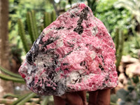 Natural Rhodonite Cobbed Specimens x 6 From Zimbabwe