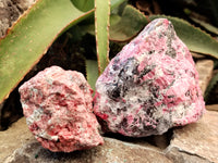 Natural Rhodonite Cobbed Specimens x 6 From Zimbabwe