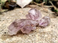 Natural Smokey Window Amethyst Crystals x 70 From Chiredzi, Zimbabwe