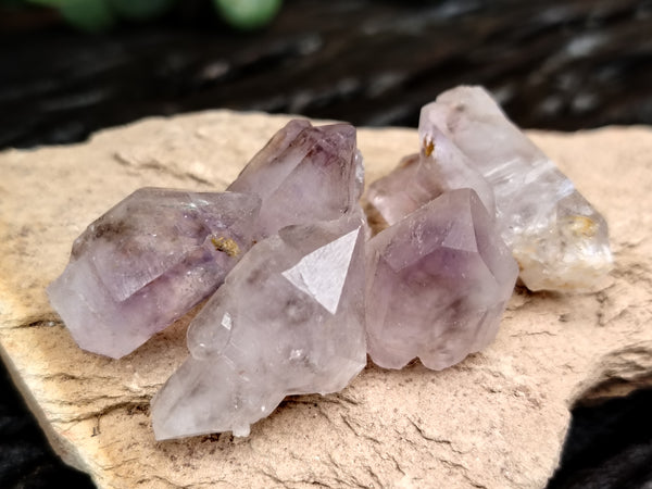 Natural Smokey Window Amethyst Crystals x 70 From Chiredzi, Zimbabwe