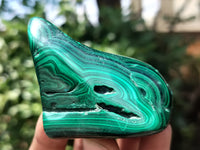 Polished Flower Banded Malachite Free Forms x 12 From Congo