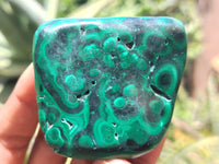 Polished Flower Banded Malachite Free Forms x 12 From Congo