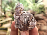 Natural Smokey Window Amethyst Crystals x 12 From Chiredzi, Zimbabwe