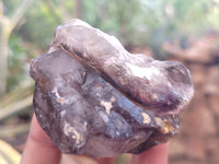 Natural Smokey Window Amethyst Crystals x 12 From Chiredzi, Zimbabwe