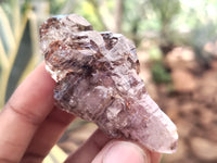 Natural Smokey Window Amethyst Crystals x 12 From Chiredzi, Zimbabwe