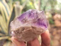 Natural Smokey Window Amethyst Crystals x 12 From Chiredzi, Zimbabwe