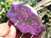 Polished On One Side Purpurite Free Forms x 5 From Namibia