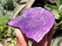 Polished On One Side Purpurite Free Forms x 5 From Namibia