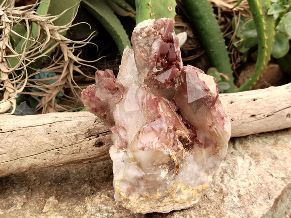 Natural Red Hematoid Quartz Cluster x 1 From Karoi, Zimbabwe