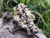 Natural Schorl Black Tourmaline Specimens x 2 From Erongo, Namibia