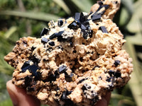 Natural Schorl Black Tourmaline Specimens x 2 From Erongo, Namibia