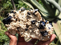 Natural Schorl Black Tourmaline Specimens x 2 From Erongo, Namibia