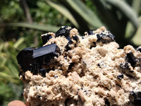 Natural Schorl Black Tourmaline Specimens x 2 From Erongo, Namibia