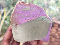 Polished on One Side Stichtite and Serpentine Free Forms x 1 From Barberton, South Africa