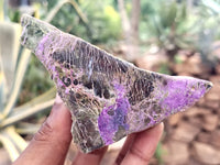 Polished on One Side Stichtite and Serpentine Free Forms x 1 From Barberton, South Africa