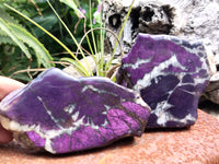 Polished On One Side Purpurite Free Forms x 6 From Namibia