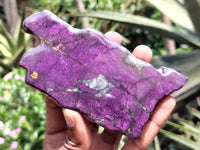 Polished On One Side Purpurite Free Forms x 6 From Namibia