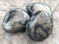 Polished Pharaoh Stone Galet / Palm Stones x 6 From Zimbabwe